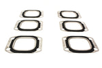 Exhaust Manifold Gasket