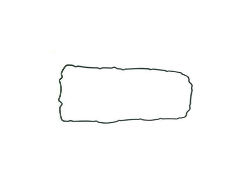 Oil Pan Seal